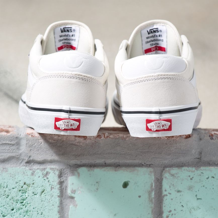 Vans Rowan Pro παπούτσια ασπρα | VN294N3VF92