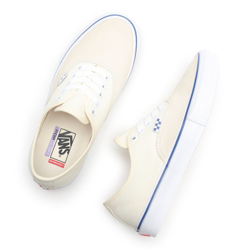 Vans Skate Authentic παπούτσια ασπρα | VN986F9VT03