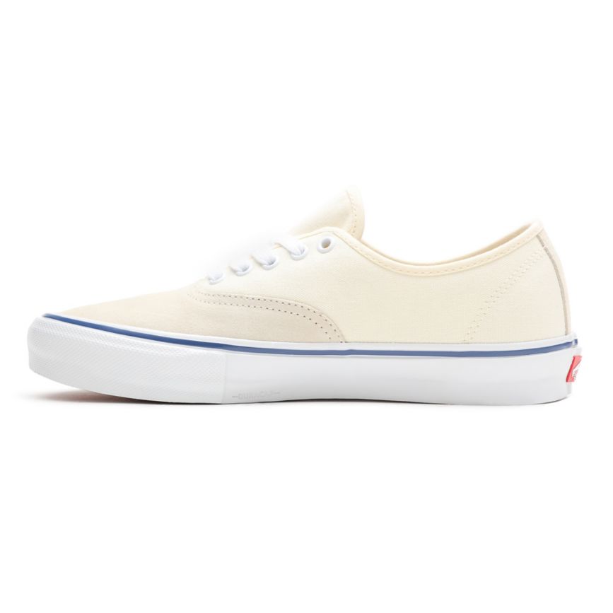 Vans Skate Authentic παπούτσια ασπρα | VN986F9VT03