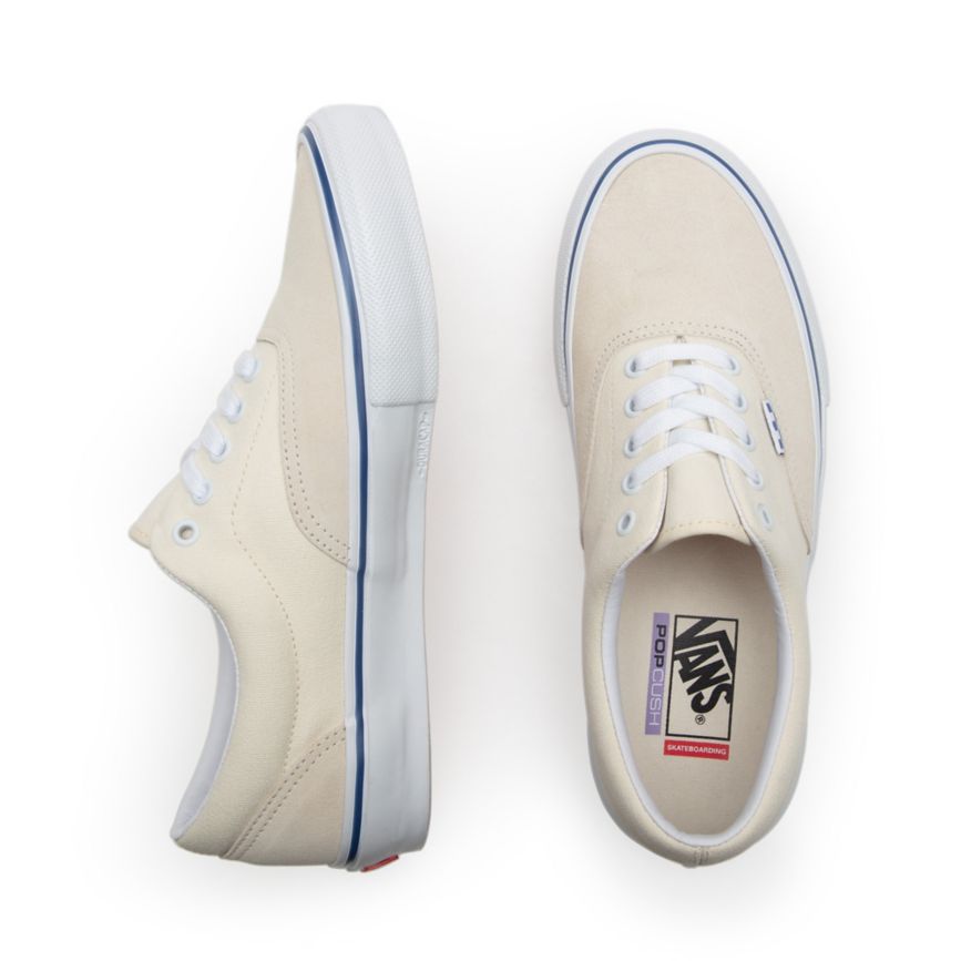 Vans Skate Era παπούτσια ασπρα | VN276I2QE80