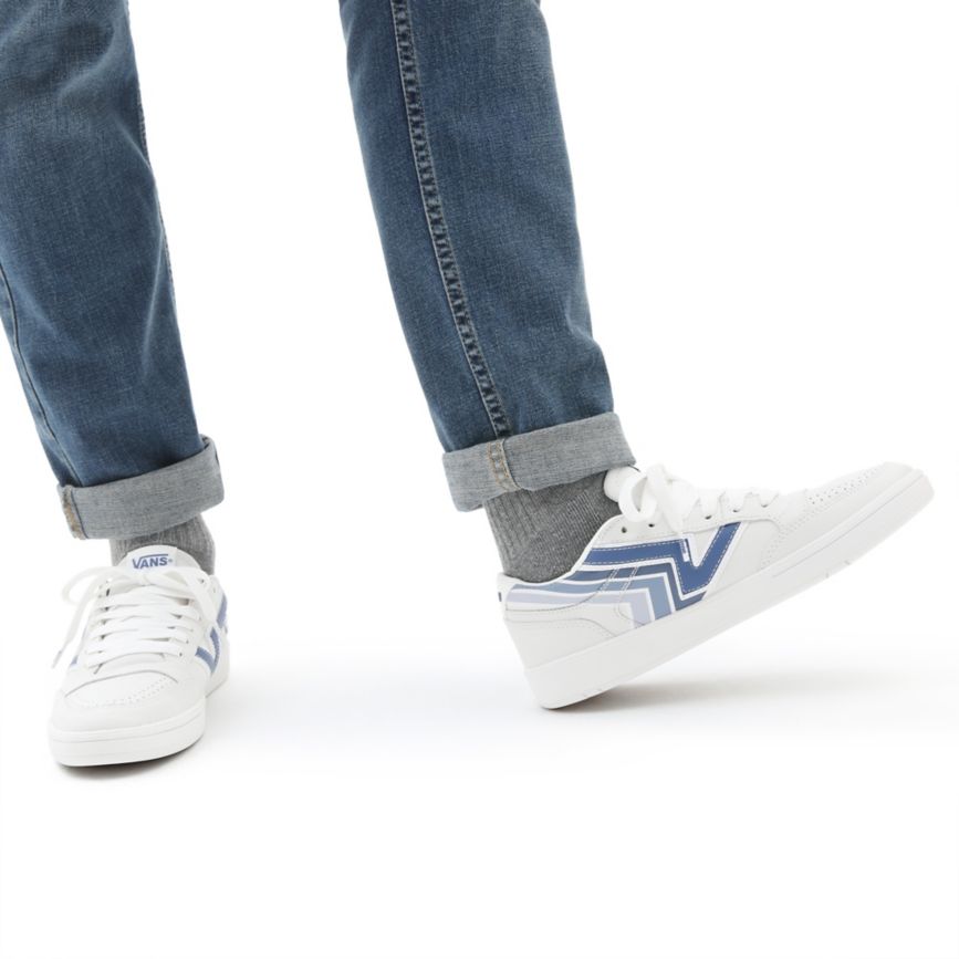 Vans X Penn Lowland CC παπούτσια ασπρα | VN745U5PR20