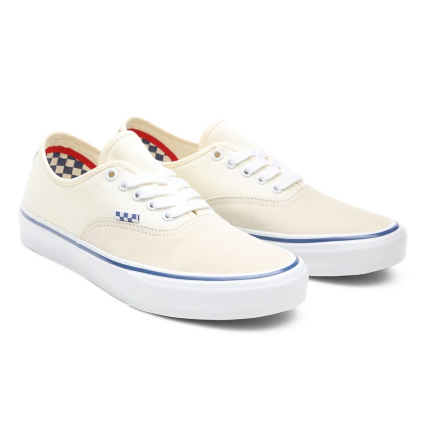 Vans Skate Authentic παπούτσια ασπρα | VN986F9VT03